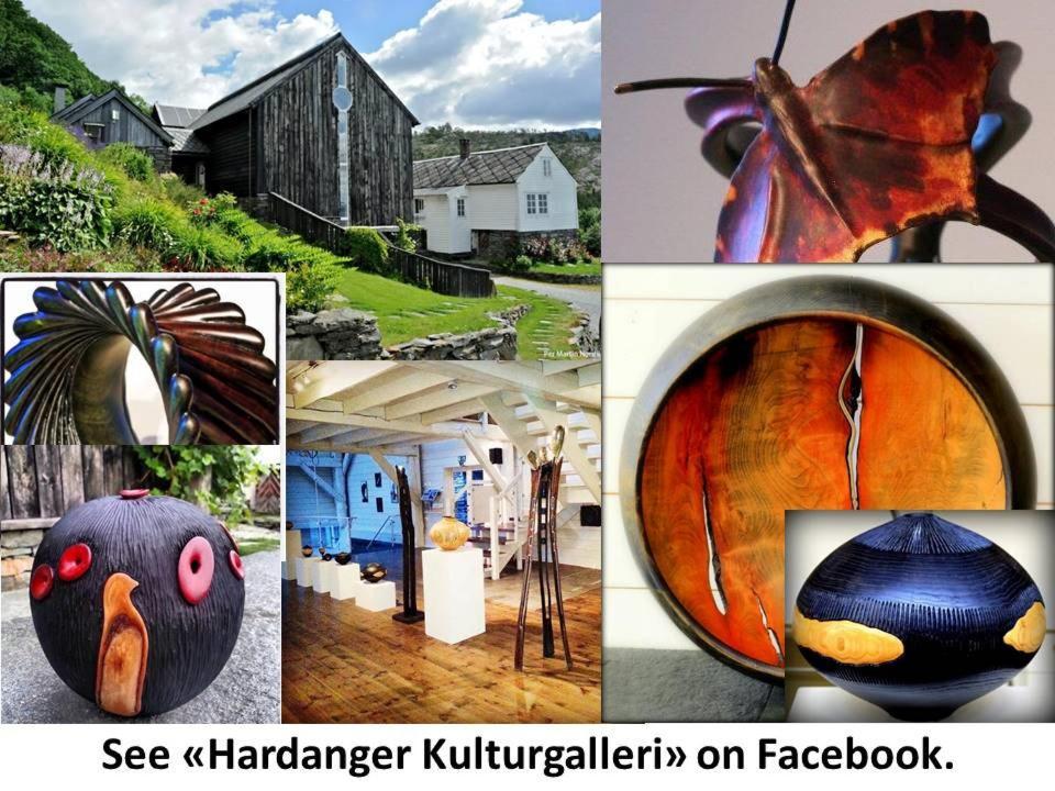Apartment 2, Herand, Hardanger Экстерьер фото